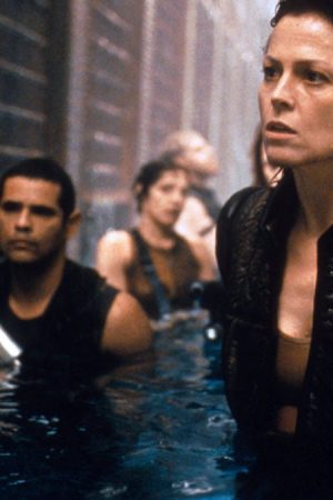 Vợ Cũ Chết Người Vợ Cũ Chết Người