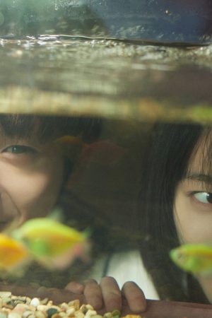 Huyền Thoại Hắc Kim Thôn