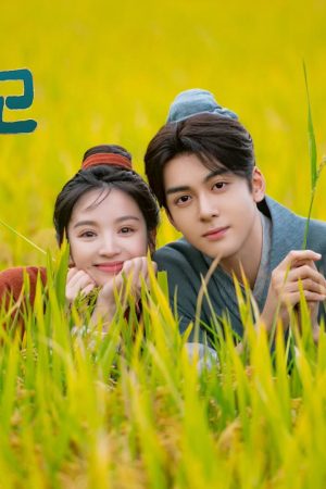 Chị Gái, Em Chỉ Muốn Làm Nam Chính Của Chị Chị Gái, Em Chỉ Muốn Làm Nam Chính Của Chị