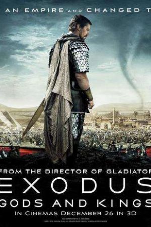 Con Rể Thần Y Con Rể Thần Y