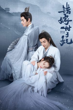 Gả Nhầm Thế Tử Phi