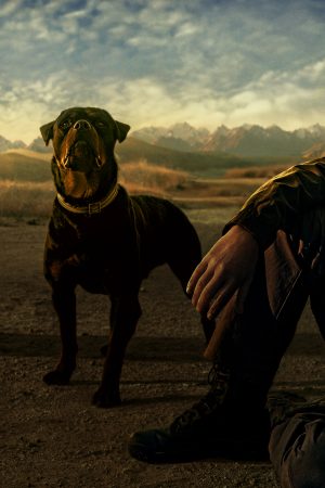 Kamen Rider Decade: All Riders Super Spin-off