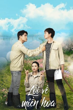 Lối Về Miền Hoa