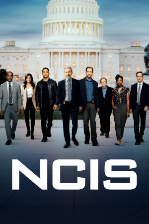 NCIS (Phần 14) NCIS (Phần 14)