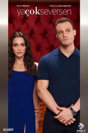 Nếu Yêu Thật Lòng Nếu Yêu Thật Lòng