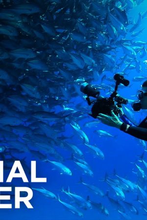 Lefter: Câu Chuyện Của Ordinarius