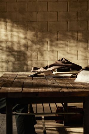 Người Phụ Nữ Tuyệt Vời